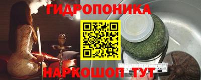 дживик Кингисепп