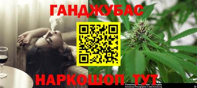 дживик Кингисепп