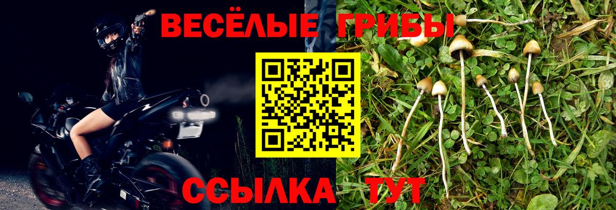 Галлюциногенные грибы Psilocybe  Галлюциногенные грибы GOLDEN TEACHER  Вход с VPN  Иваново 